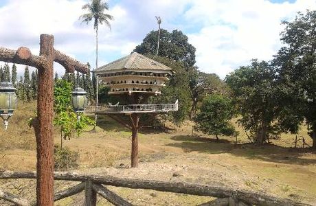 Bluroze Farms