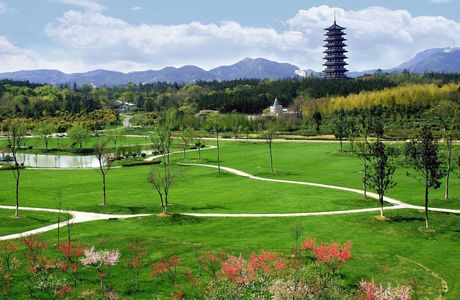 Longbeishan Mountain National Forest Park