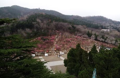Yantai Da Nanshan Park