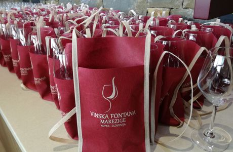 Vinska Fontana Marezige