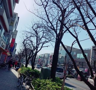 Sakurashinmachi Shopping Street