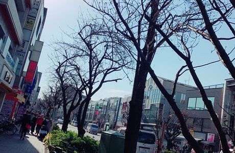 Sakurashinmachi Shopping Street