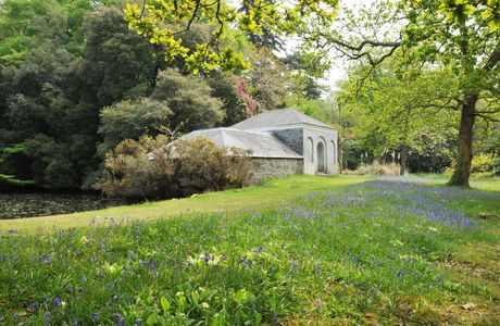 Antony Woodland Garden