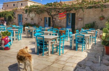Bar Cialoma