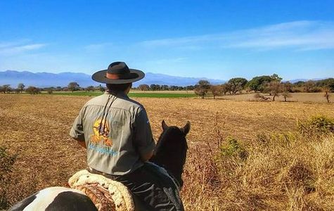 SAYTA RANCH 1