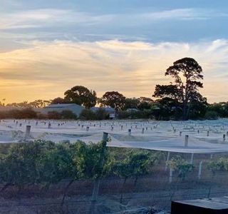 Bennetts on Bellarine