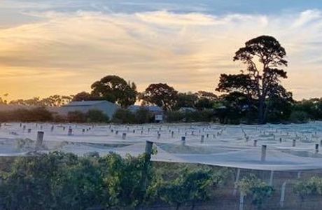 Bennetts on Bellarine