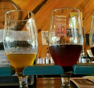Zephyrhills Brewing Company
