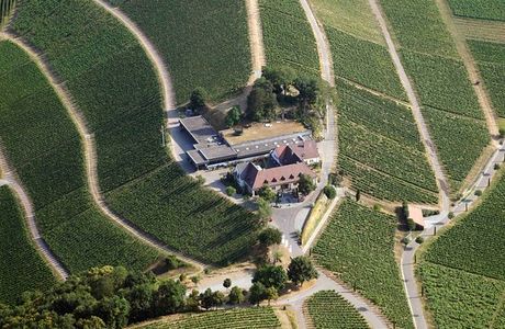 Staatsweingut Freiburg