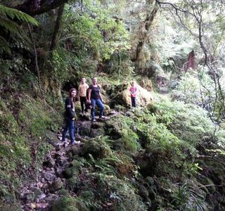 Fox River Cave Walk