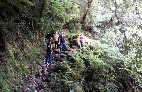 Fox River Cave Walk