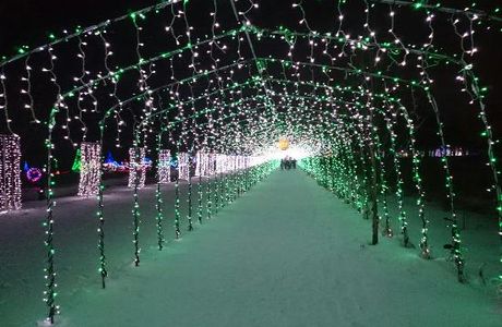 Lake Haruna Illumination Festa