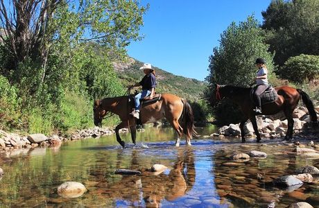 Ferme Equestre Le Ranch