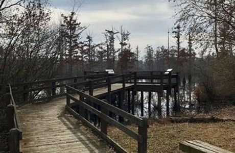 Cypress Creek National Wildlife Refuge