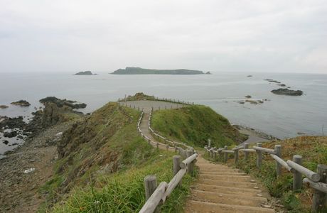 Sukoton Cape