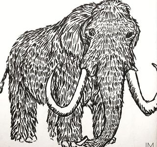 Woolly Mammoth