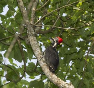Provincial Urugua-í Park
