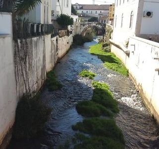 Jardim do Amor