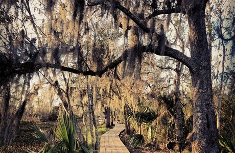 Jean Lafitte National Historical Park and Preserve