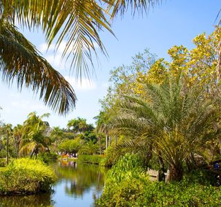 Naples Zoo at Caribbean Gardens