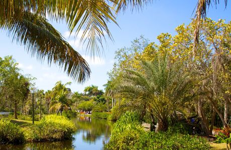 Naples Zoo at Caribbean Gardens