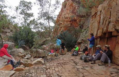 Larapinta Trail Trek Support