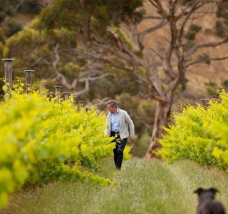 The Islander Estate Vineyards