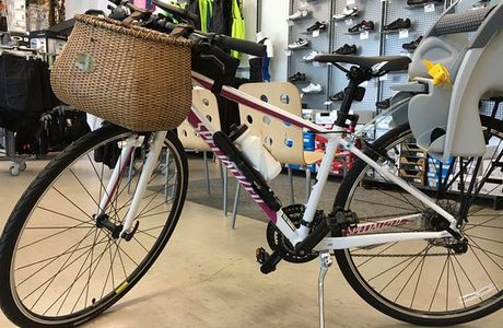 The Bicycle Planet