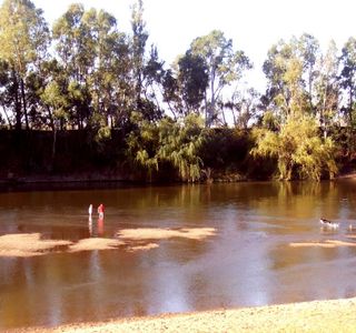 Wagga Beach