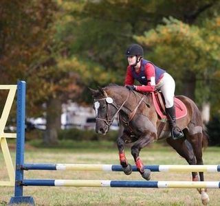 Red Fern Riding Center