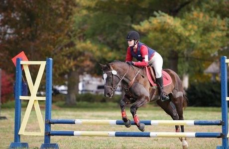 Red Fern Riding Center