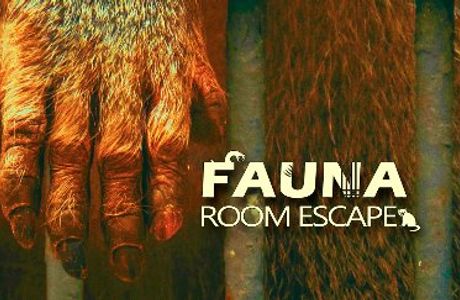 Fauna room escape