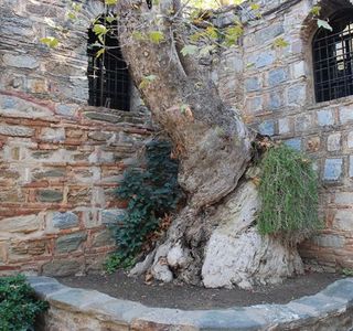 Meryemana (The Virgin Mary's House)