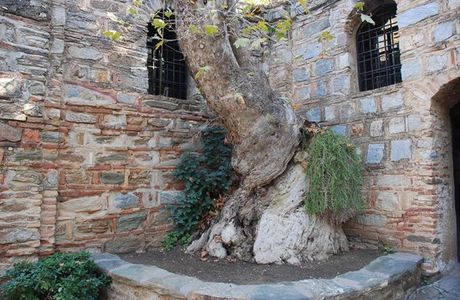 Meryemana (The Virgin Mary's House)