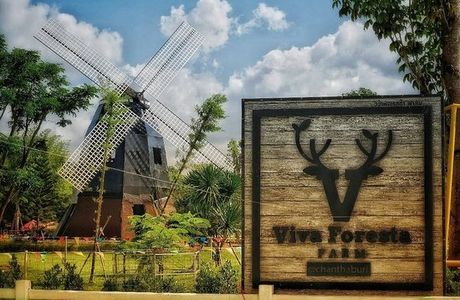 Viva Foresta Farm