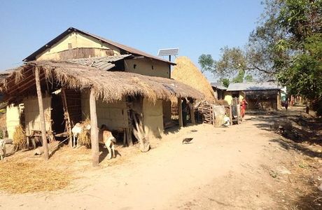 Chitwan Tharu Village