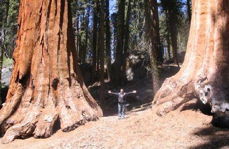 Crescent Meadow Loop