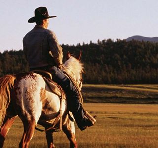 White Mountain Horseback Riding