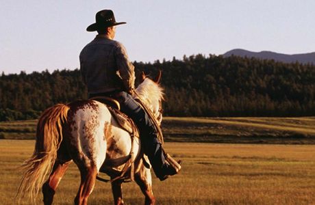 White Mountain Horseback Riding