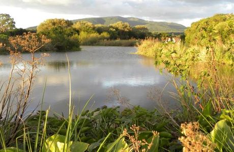 Indigena - Area Protegida de Flora y Fauna