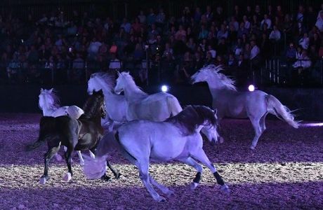 Grande Liberte Farm