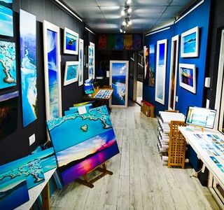 Into The Blue Gallery