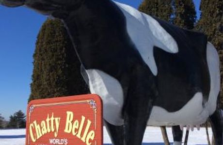 Chatty Belle