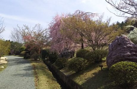 Senseki Garden