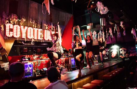 REDAREA CLUB