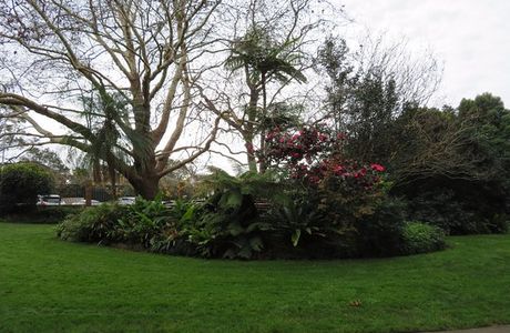 E G Waterhouse National Camellia Gardens