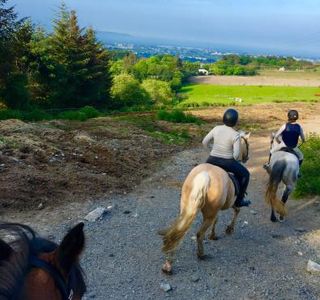 The Paddocks Riding Centre