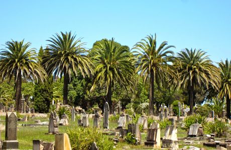 Rookwood Cemetery