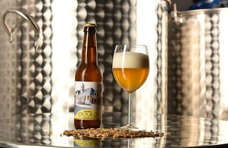 Terrabiere