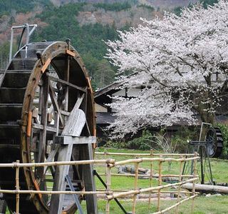 Fishing Center Mizube no Yakata